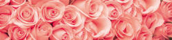 Dimex ROSES öntapadós konyhai poszter, 260x60 cm (KI-260-052)