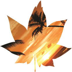 Consalnet Levél formájú vlies poszter, fotótapéta 898VEZ6 /208x208 cm/ (898-VEZ6)