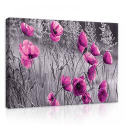 Consalnet Pipacsok, vászonkép, 70x50 cm méretben (C5-11764O7)