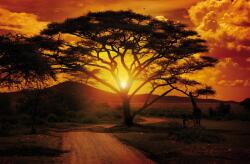 Consalnet Afrika poszter, fotótapéta (104 x 70, 5 cm) (C1-055VEM)