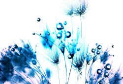 Consalnet Pitypang poszter, fotótapéta Vlies (152, 5 x 104 cm) (C1-258VEL)