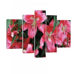 Consalnet Vászonkép, 5 darabos, Piros liliomok 170x100 cm méretben (C5-20027S4A)
