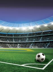 Consalnet Stadion poszter, fotótapéta (184 x 254 cm) (C1-1914V4A)