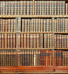 Dimex LIBRARY fotótapéta, poszter, vlies alapanyag, 225x250 cm (MS-3-0263)