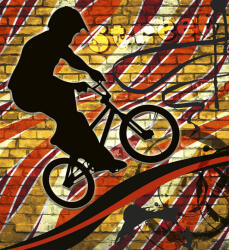 Dimex BICYCLE RED fotótapéta, poszter, vlies alapanyag, 225x250 cm (MS-3-0327)