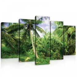 Consalnet Vászonkép 5 darabos, Pálmafák, pálma levelek 100x60 cm méretben (C5-11349S17)
