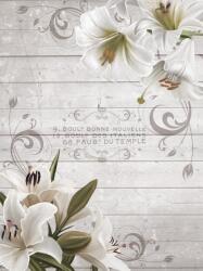 Consalnet Virágok poszter, fotótapéta, Vlies (206x275 cm, álló) (C1-10050VEA)