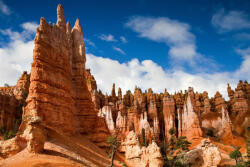 Dimex Vlies Fotótapéta - National park - 375x250 cm (MS-5-1702)