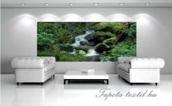 Consalnet Erdei patak poszter, fotótapéta 163VEP /250x104 cm/ (163-VEP)
