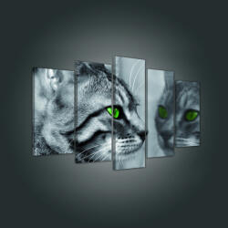 Consalnet Vászonkép 5 darabos, Cica tükörkép 100x60 cm méretben (C5-181S17)
