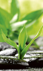 Dimex ZEN STONES fotótapéta, poszter, vlies alapanyag, 150x250 cm (MS-2-0116)