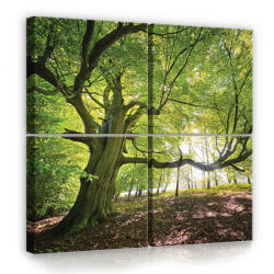 Consalnet Vászonkép 4 darabos, Erdő 50x50 cm méretben (C5-11799S20)