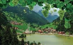 Consalnet Falu a hegyekben poszter, fotótapéta, Vlies (368 x 254 cm) (C1-2332V8)