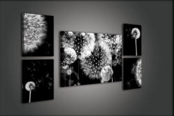 Consalnet Vászonkép, 5 darabos Pitypang variálható elrendezésben (C5-1812S14)