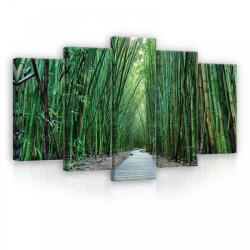 Consalnet Vászonkép 5 darabos, Zöld nádas 100x60 cm méretben (C5-12632S17)