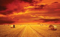 Consalnet Szalmabála poszter, fotótapéta, Vlies (104 x 70, 5 cm) (C1-414VEM)