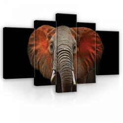 Consalnet Vászonkép, 5 darabos, Elefánt 170x100 cm méretben (C5-11752S4A)