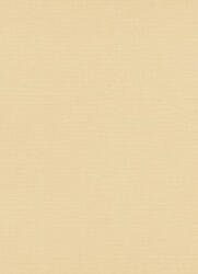Erismann Bézs struktúrált egyszínű tapéta (Casual Chic 10262-02) (10262-02)