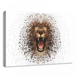 Consalnet Oroszlán, vászonkép, 70x50 cm méretben (C5-11560O7)