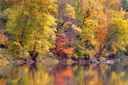Dimex Vlies Fotótapéta - Reflections of autumn trees - 375x250 cm (MS-5-1826)