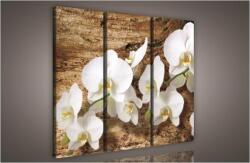 Consalnet Orchidea, 3 darabos vászonkép, 90x80 cm méretben (C5-414S6)