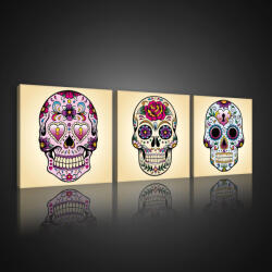Consalnet Vászonkép 3 darabos, Koponyák, 3 db 25x25 cm méret (C5-10554S13)