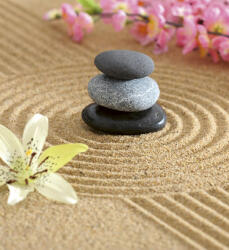 Dimex ZEN GARDEN fotótapéta, poszter, vlies alapanyag, 225x250 cm (MS-3-0117)