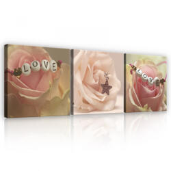 Consalnet Vászonkép 3 darabos, Rózsák ékszerrel, 3 db 25x25 cm méret (C5-13235S13)