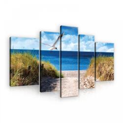 Consalnet Vászonkép, 5 darabos, Szárnyaló madár a tengerparton 170x100 cm méretben (C5-21030S4A)