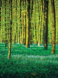 Consalnet Erdő poszter, fotótapéta, Vlies (206x275 cm, álló) (C1-1438VEA)