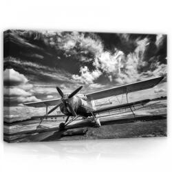 Consalnet Repülő fekete-fehérben, vászonkép, 60x40 cm méretben (C5-11384O4)