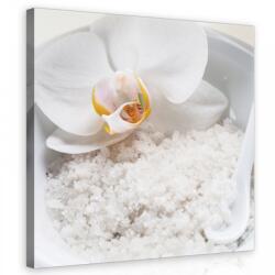 Consalnet Zen Orchidea és só, vászonkép 40x40 cm méretben (C5-11779O5)