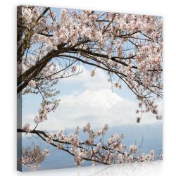 Consalnet Virágzó fa, vászonkép 40x40 cm méretben (C5-11800O5)