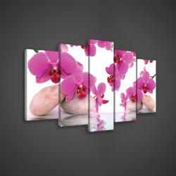 Consalnet Vászonkép 5 darabos, Rózsaszín orchideák 100x60 cm méretben (C5-136S17)