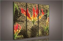 Consalnet Virág, 3 darabos vászonkép, 90x80 cm méretben (C5-872S6)