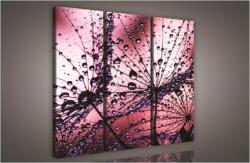 Consalnet Pitypang, 3 darabos vászonkép, 90x80 cm méretben (C5-425S6)