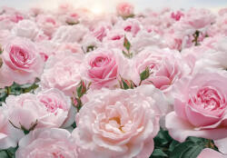 Consalnet Halvány rózsaszínrózsák poszter, fotótapéta, Vlies (150 x 105 cm) (C1-15624VX3)