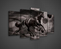 Consalnet Vászonkép 5 darabos, Ló 100x60 cm méretben (C5-2308S17)