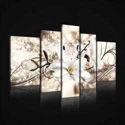 Consalnet Vászonkép, 5 darabos, Virág 170x100 cm méretben (C5-2525S4A)