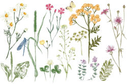 Dimex Vlies Fotótapéta - Hand drawn set - 375x250 cm (MS-5-2010)