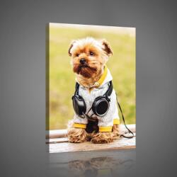 Consalnet Vászonkép, Fejhallgatós kiskutya, 75x100 cm méretben (C5-10431O1)