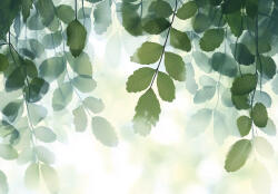 Consalnet Lelógó zöld falevelek poszter, fotótapéta, Vlies (250 x 175 cm) (C1-15591VX5)