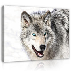 Consalnet Vászonkép, Farkas, 80x60 cm méretben (C5-2075O6)