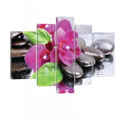 Consalnet Vászonkép, 5 darabos, Orchideák kövekkel 170x100 cm méretben (C5-20024S4A)
