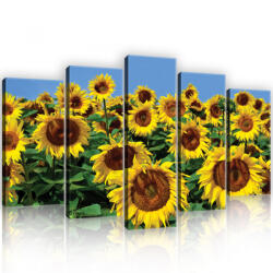 Consalnet Vászonkép 5 darabos, Napraforgó 100x60 cm méretben (C5-12602S17)