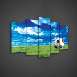 Consalnet Vászonkép 5 darabos, Focilaba 100x60 cm méretben (C5-20099S17)