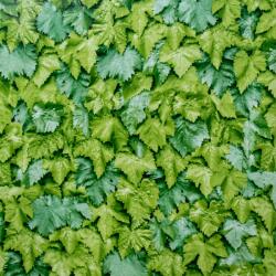 Vénilia Décor Gekkofix LEAVES öntapadós tapéta 45 cm x 15 m (55786)