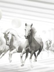 Consalnet Lovak poszter, fotótapéta, Vlies (184x254 cm, álló) (C1-10154V4A)