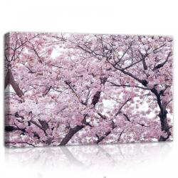 Consalnet Cseresznyefa, vászonkép, 60x40 cm méretben (C5-10894O4)