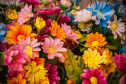 Dimex Vlies Fotótapéta - Blooming blossom - 375x250 cm (MS-5-1306)